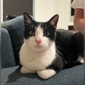 Meet your Posher, Caitlin